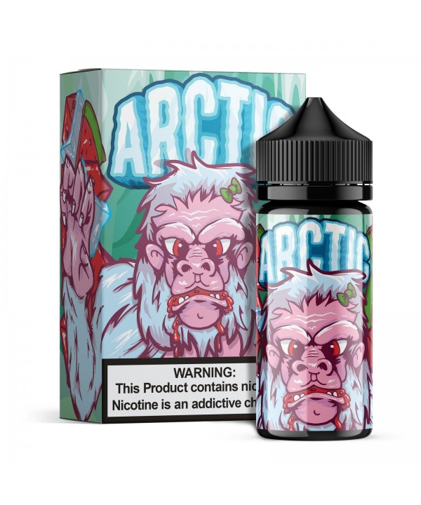 ARCTIC | Wicked Watermelon 100ML eLiquid