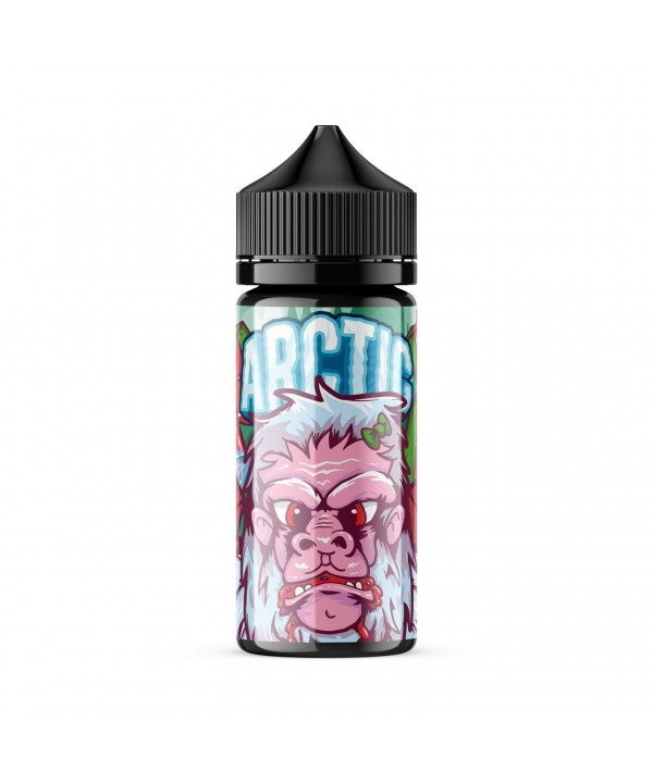 ARCTIC | Wicked Watermelon 100ML eLiquid