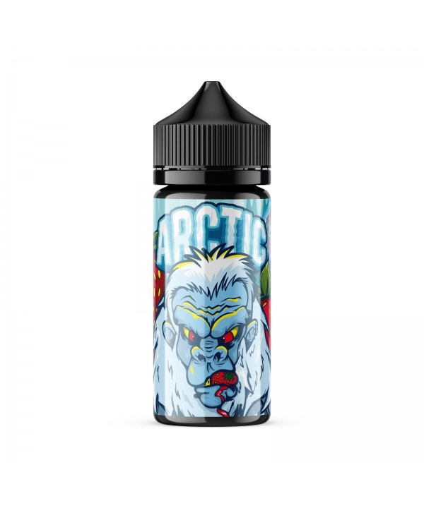 ARCTIC | Scary Berry 100ML eLiquid