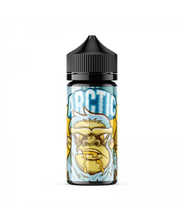 ARCTIC | Mean Mango 100ML eLiquid