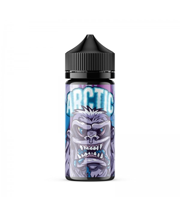 ARCTIC | Blizzard Blue 100ML eLiquid