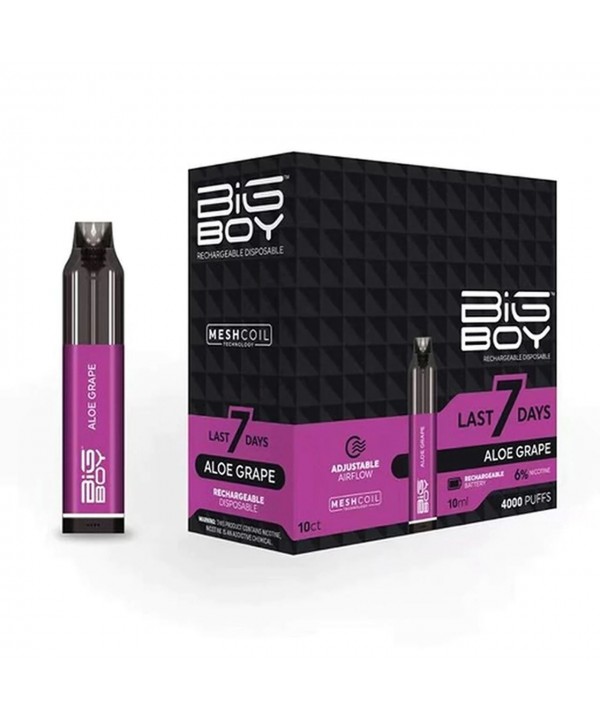 Big Boy Rechargeable Disposable 4000 Puffs 10mL